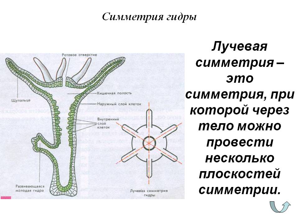 Что за площадка кракен