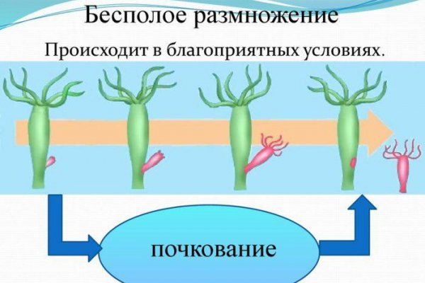 Кракен площадка что это